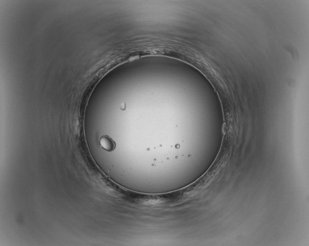 X0000113010313200908271415