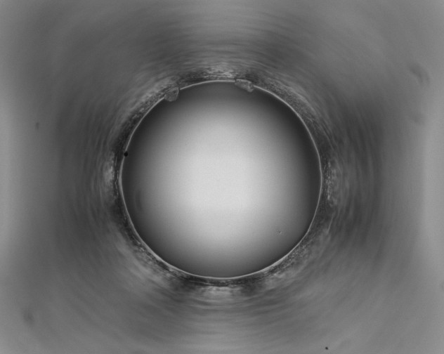 X0000113010314200908271415