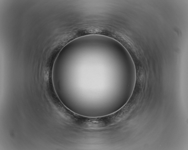 X0000113010315200908271415