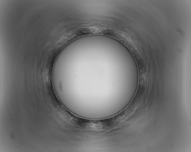 X0000113010317200908271415