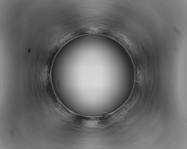 X0000113010318200908271415