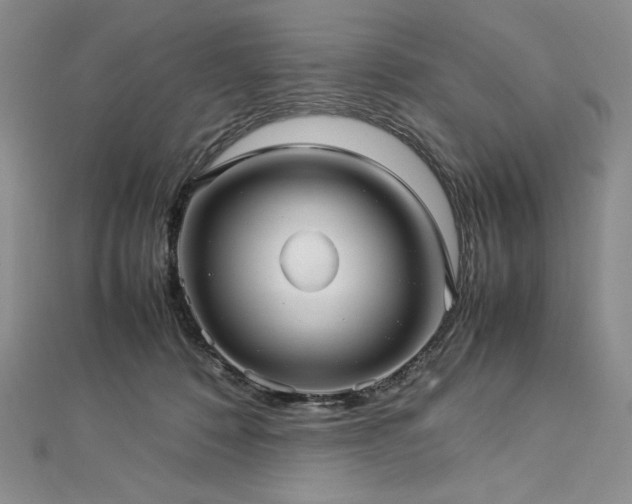 X0000113010320200908271415