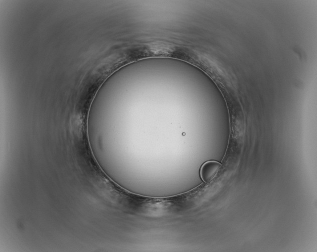 X0000113010321200908271414