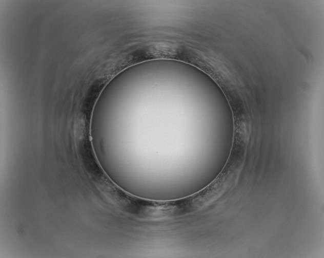 X0000113010323200908271414