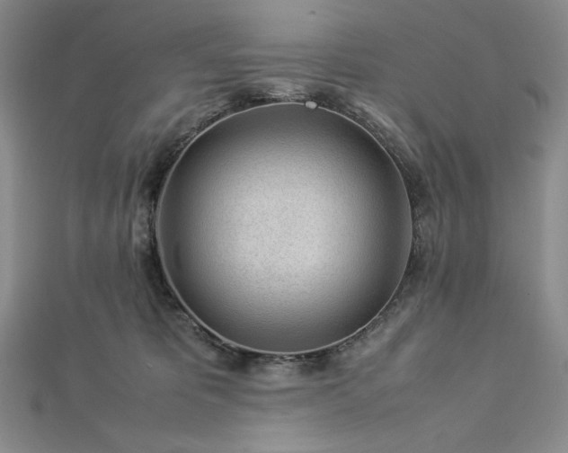 X0000113010325200908271414