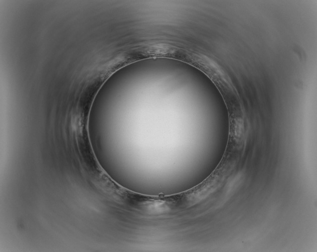 X0000113010326200908271414