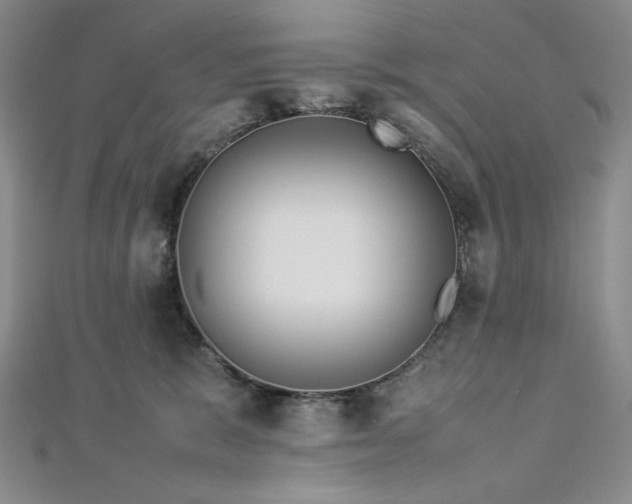 X0000113010327200908271414