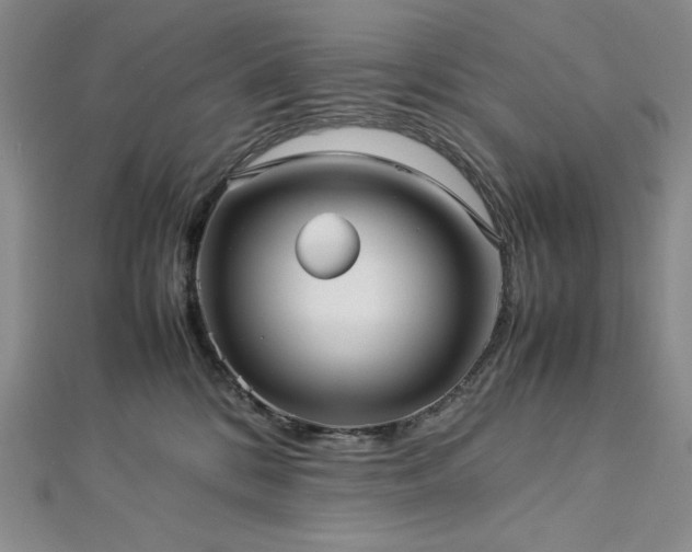 X0000113010328200908271414