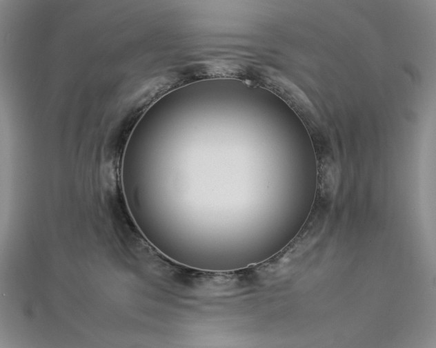 X0000113010329200908271414