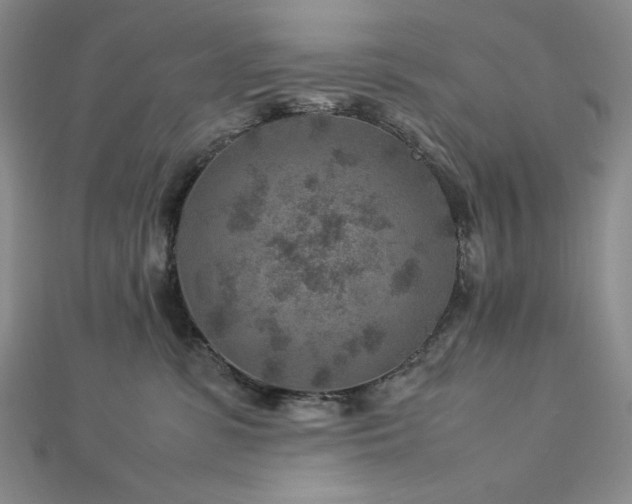 X0000113010331200908271414