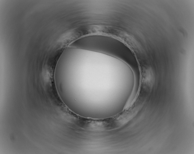 X0000113010332200908271414