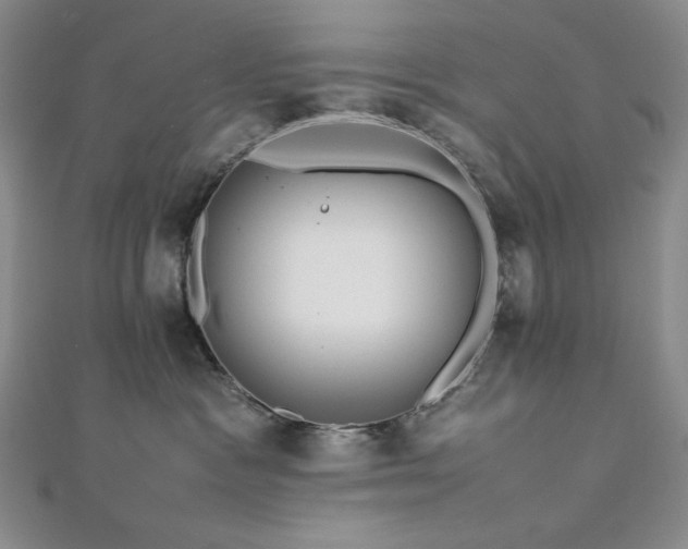 X0000113010333200908271414