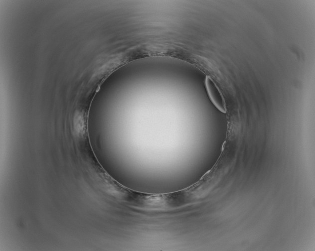 X0000113010335200908271414