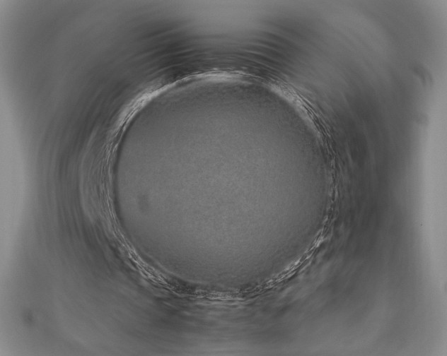 X0000113010337200908271414