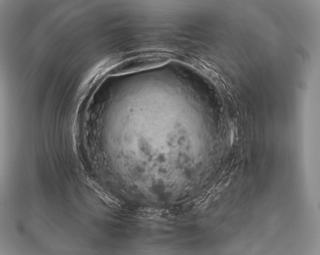 X0000113010339200908271414