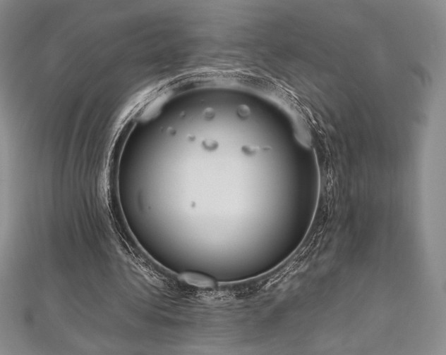 X0000113010340200908271414