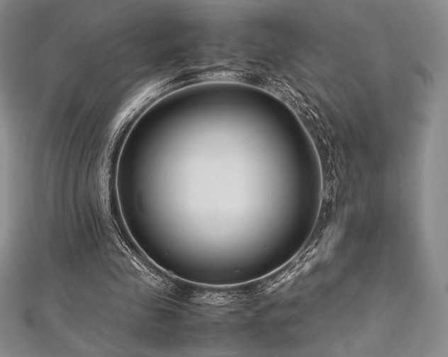 X0000113010341200908271414