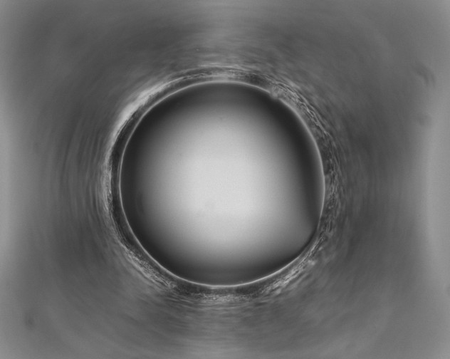 X0000113010342200908271414