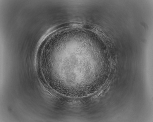 X0000113010343200908271414