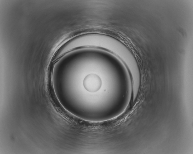 X0000113010344200908271414