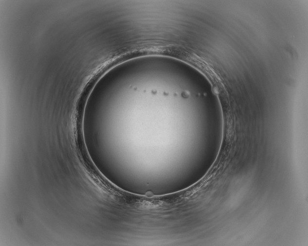 X0000113010346200908271414