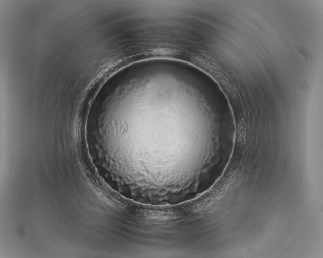 X0000113010347200908271414