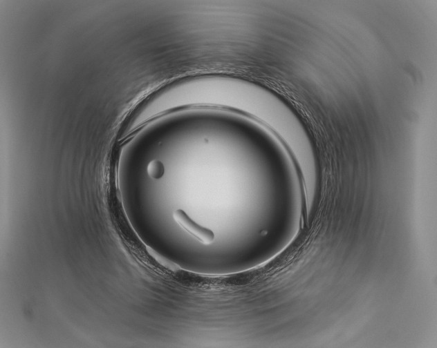 X0000113010348200908271414