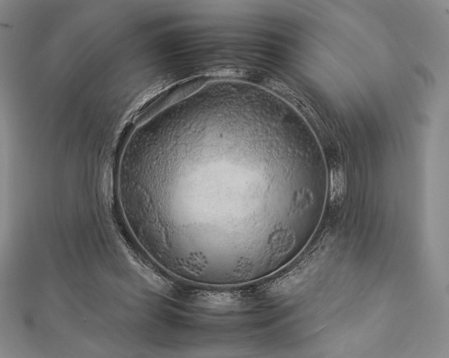 X0000113010349200908271414