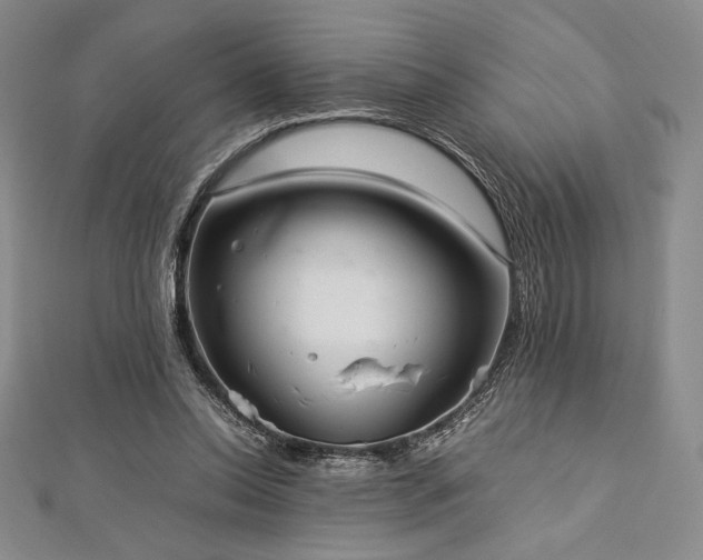 X0000113010350200908271414