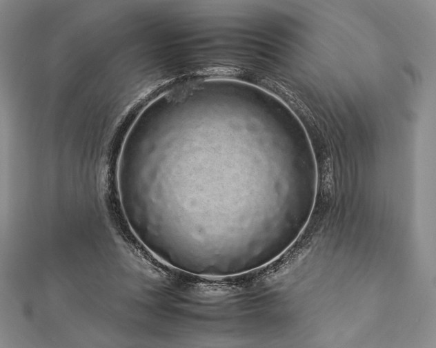 X0000113010351200908271414