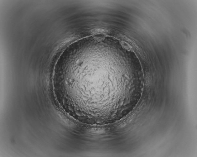 X0000113010353200908271414