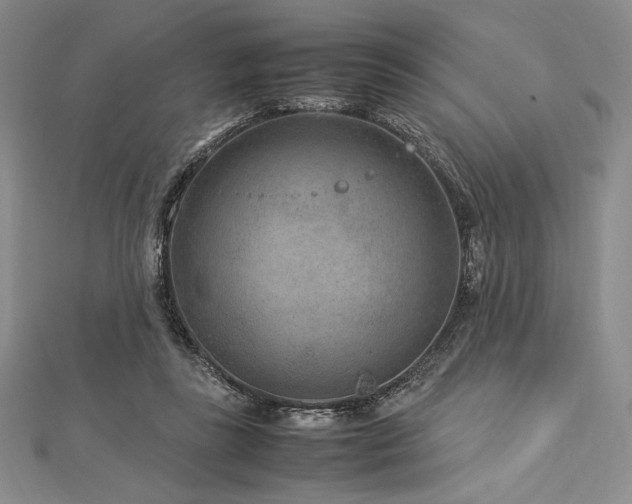 X0000113010355200908271414