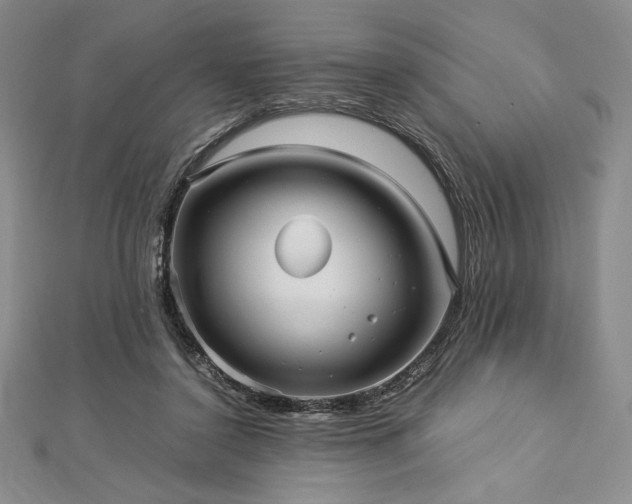 X0000113010356200908271414