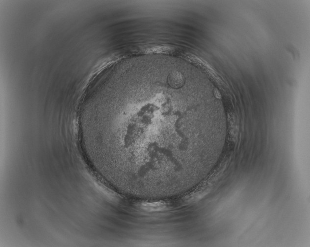 X0000113010357200908271414