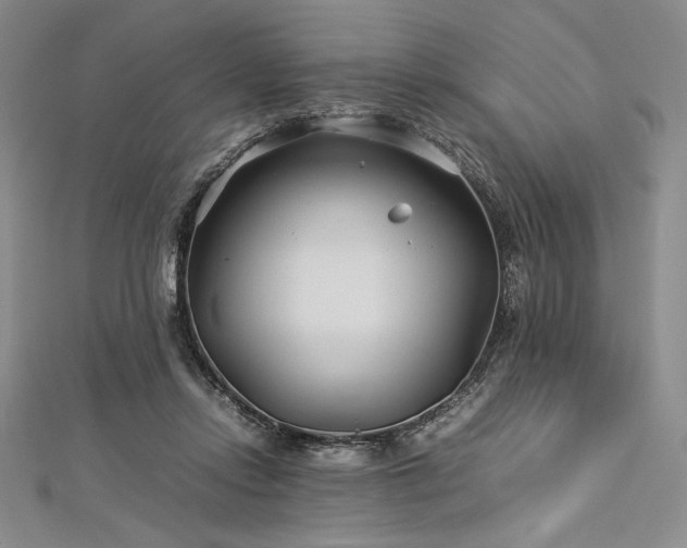 X0000113010358200908271414