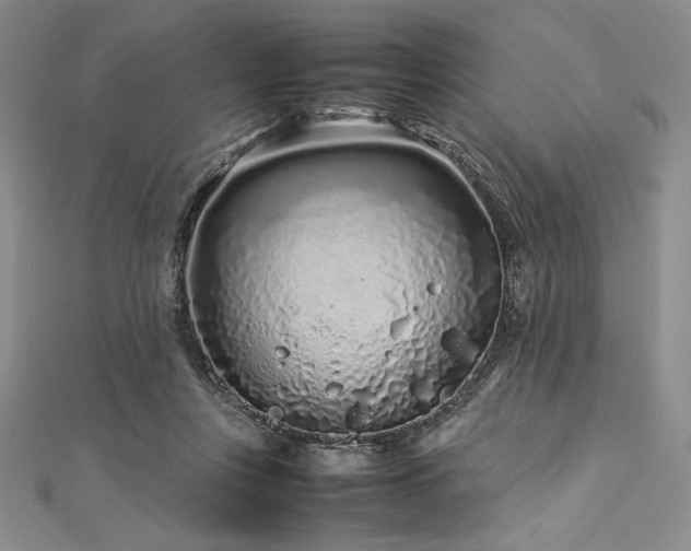 X0000113010359200908271414