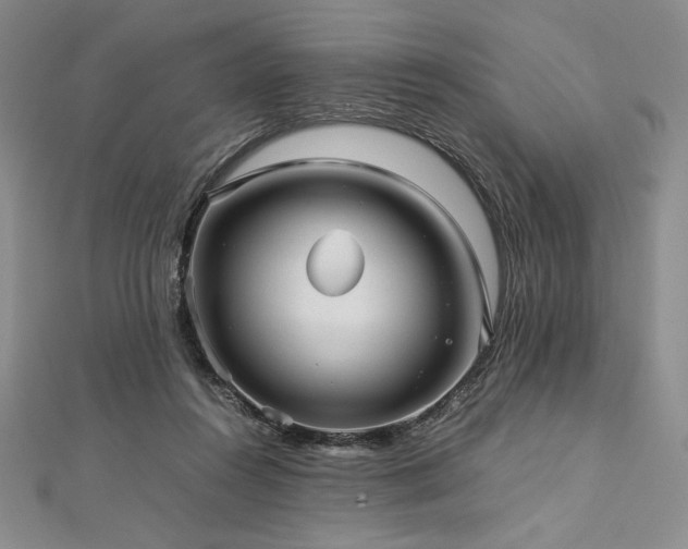 X0000113010360200908271414