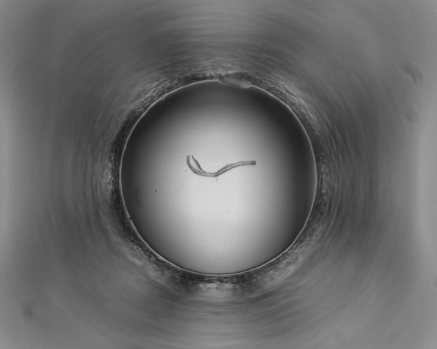 X0000113010362200908271414