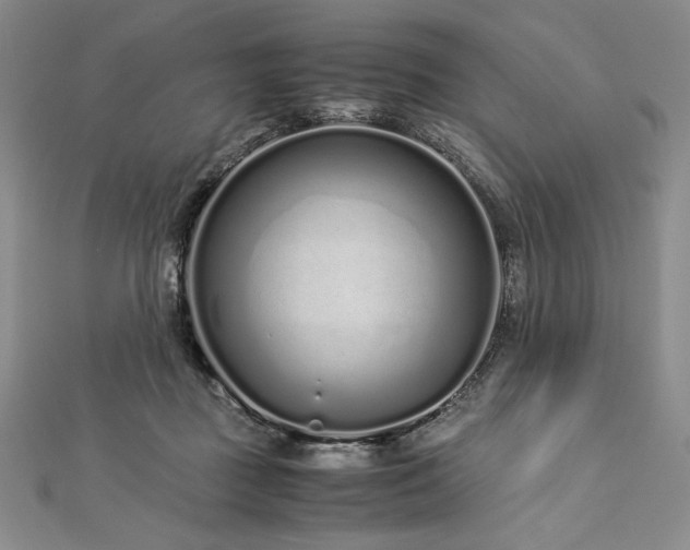 X0000113010363200908271414