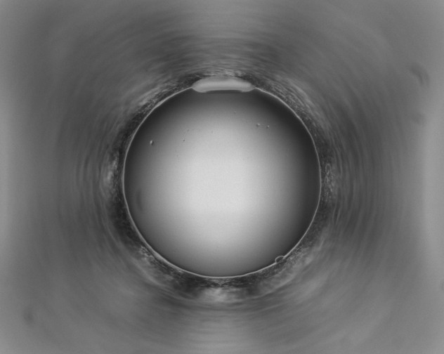 X0000113010364200908271414