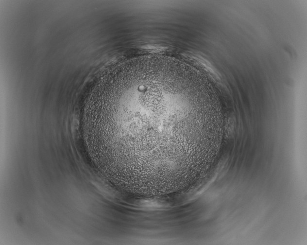 X0000113010365200908271414