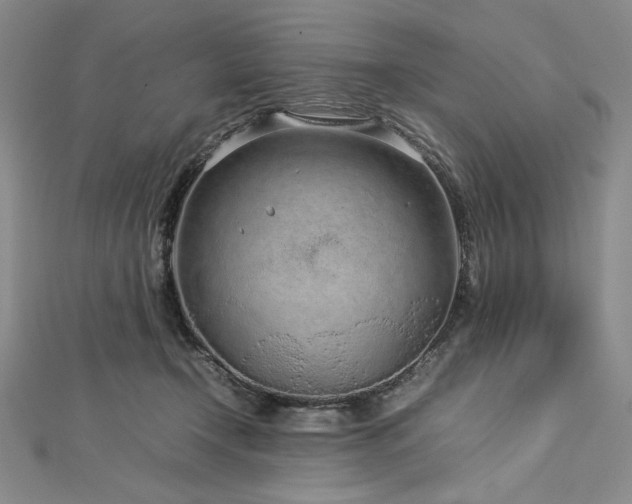 X0000113010366200908271414