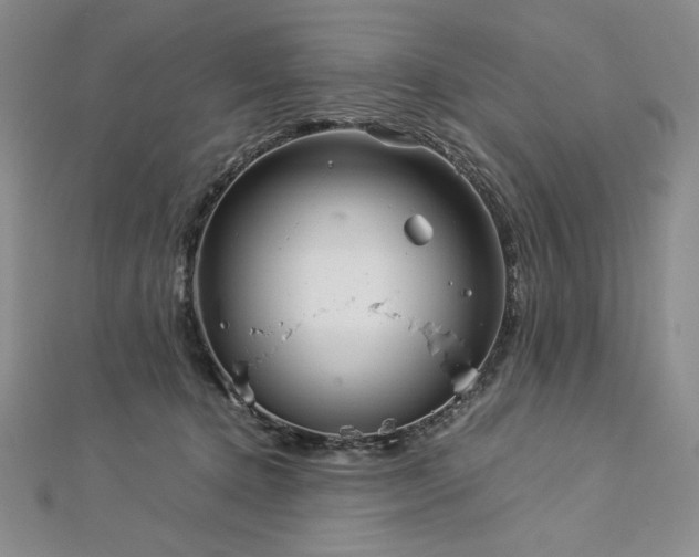 X0000113010368200908271414