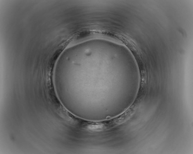 X0000113010369200908271414