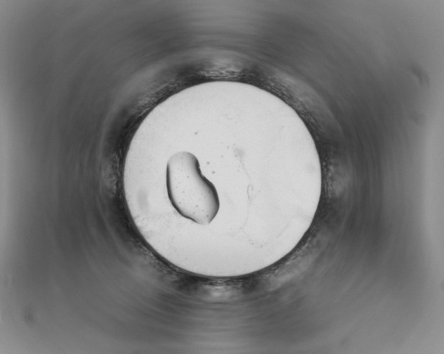 X0000113010370200908271414