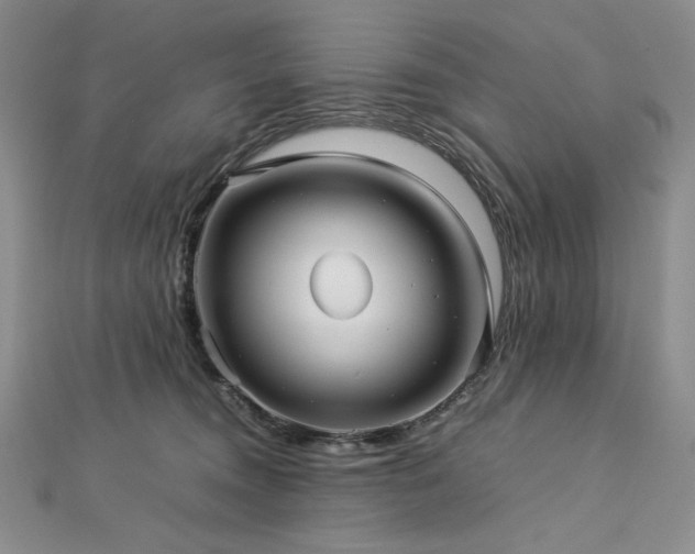 X0000113010372200908271414