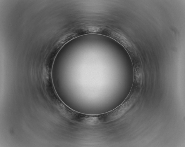 X0000113010374200908271414