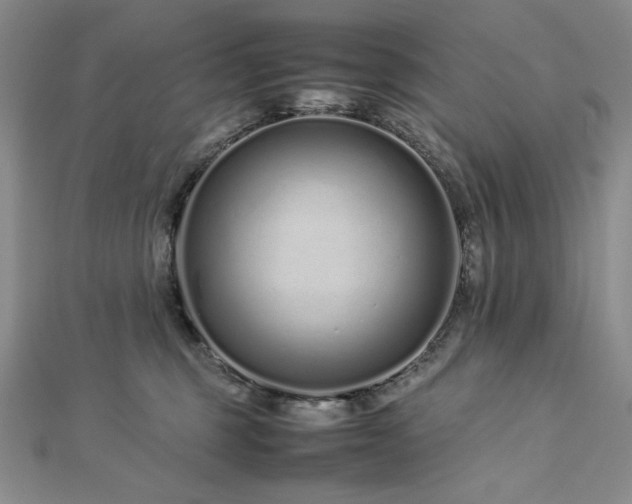 X0000113010375200908271414