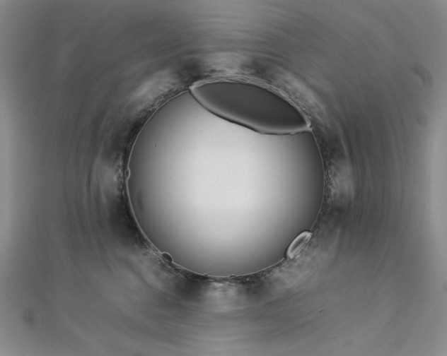 X0000113010376200908271414