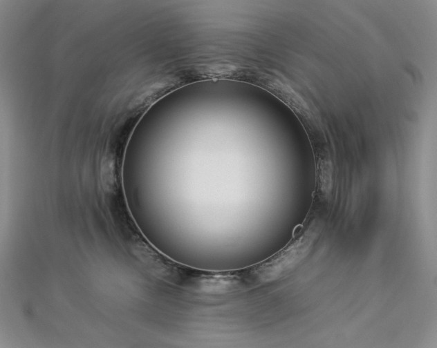 X0000113010378200908271414